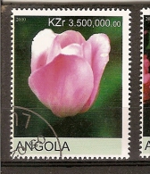 Angola (A1) - Angola
