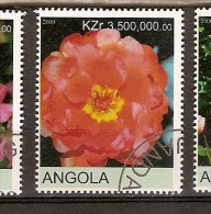 Angola (A3) - Angola