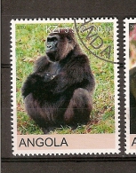 Angola (A16) - Angola