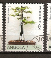 Angola (A31) - Angola