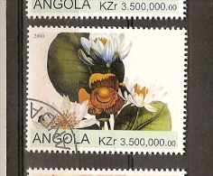 Angola (A47) - Angola