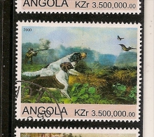 Angola (A61) - Angola