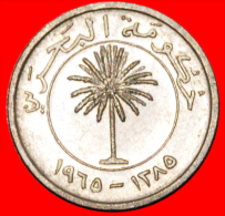 * GREAT BRITAIN: BAHRAIN ★ 50 FILS 1385-1965! PALM LOW START ★ NO RESERVE! - Bahreïn