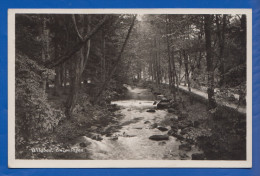 Deutschland; Wildbad Im Schwarzwald; Enzanlagen; 1935 - Calw
