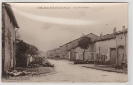 55 - Meuse _ Demange-aux Eaux- Rue Des Tilleuls (427 Hab _ (carte Photo)Meuse - Sonstige & Ohne Zuordnung