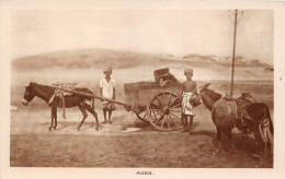 ¤¤  -   YEMEN   -   ADEN  -  Carte-Photo   -  Attelage D'Ane       -  ¤¤ - Yémen