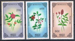 R 978. Sellos MONGOLIA, Plantas Medicinales , Flowers 1985 ** - Plantes Médicinales
