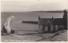 Royaume-Uni - Scotland - Saint-Andrews Harbour - Fife