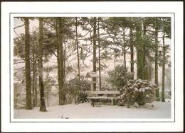 BRAZIL - SÃO JOAQUIM -  SANTA CATARINA STATE - RURAL LANDSCAPE WITH SNOW 2 - UNUSED - Autres