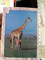 GIRAFFA GIRAFFE  CON CUCCIOLO BABY KENYA STAMP FARFALLE PAPHILLON 40 Ct 3,50  VB1989 ET16613 - Giraffes
