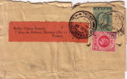 NATAL - PIETERMARITZBURG - ENTIER POSTAL BANDE DE JOURNAL  AVEC COMPLEMENT D'AFFRANCHISSEMENT POUR LA FRANCE - Natal (1857-1909)