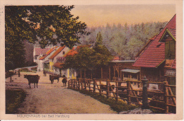 AK Bad Harzburg - Molkenhaus - 1914 (13788) - Bad Harzburg