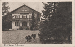 AK Forsthaus ? Waldheimat Gasthaus ? Schwepnitz Bei Königsbrück Kamenz Bernsdorf Strassgräbchen Grüngräbchen - Königsbrück