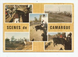 Cp , Scénes De CAMARGUE , Gardians , Taureaux , Chevaux , Ed : G.A.L 4409 , Voyagée 1986 , Multi-vues - Bull