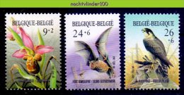 Mfy017 FAUNA VOGELS VLEERMUIZEN BATS CHAUVE SOURIS FLOWERS PROTECTION BIRDS VÖGEL AVES OISEAUX BELGIË 1987 PF/MNH - Fledermäuse