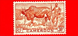 CAMERUN - USATO -  1946 - Animali ( Fauna ) - Bovini - Zebu E Herder - 30 - Oblitérés