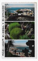 MONACO - N° 1-138 - JARDIN EXOTIQUE - MULTIVUES - CARTE FORMAT CPA NON VOYAGEE - Exotic Garden