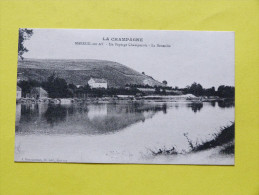 MAREUIL SUR AY    UN PAYSAGE CHAMPENOIS. LA BOUTEILLE - Mareuil-sur-Ay