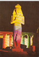 16896- LUXOR- PINUTEM PHRAO AND HIS WIFE STATUES, BY NIGHT - Luxor