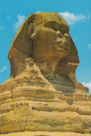 16899- GIZEH- THE SPHINX - Guiza