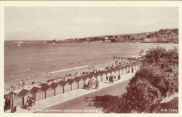 Vintage Postcard Seafront Swanage Thunder & Clayden Sunray Sea Beach Bathing Hut - Swanage