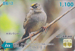 Carte Prépayée Japon - OISEAU Passereau - CHARDONNERET - Song BIRD Japan Prepaid Card / V4 - Vogel Karte- BE Hiro 3945 - Pájaros Cantores (Passeri)