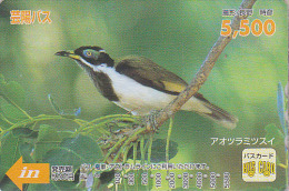 Carte Prépayée Japon - OISEAU Passereau Exotique - Exotic BIRD Japan Prepaid Card / V4 - Vogel Karte - Hiro 3949 - Sperlingsvögel & Singvögel