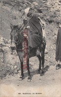 Delcampe - ALGERIE - KABYLIE - Un Muletier - 1906 - 2 Photos - Szenen