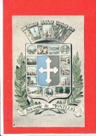 Delcampe - 01 MONTLUEL Cpa Multivues Blasson   Edit Morel - Montluel