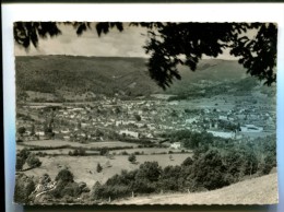 Delcampe - CP - ARGENTAT (19) VUE GENERALE VUE DE LA ROUTE DE SAINT PRIVAT - Argentat