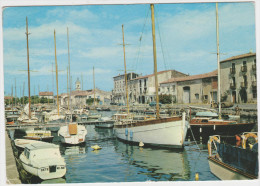Delcampe - MARSEILLAN VILLE - Le Port - Club Nautique - Marseillan