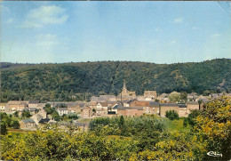 Delcampe - CP De HOUYET " Panorama " - Houyet