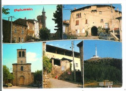 Delcampe - PELUSSIN - Pelussin