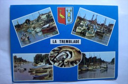 Delcampe - D 17 - La Tremblade - La Tremblade
