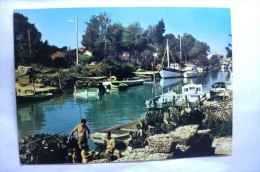 Delcampe - D 17 - La Tremblade - Le Canal - Manes D'huîtres Et Collecteurs Préparés Pour être Transportés Dans Les Parcs - La Tremblade