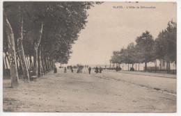 Delcampe - 33.965 / BLAYE - L'Alle Du Débarcadére - Blaye