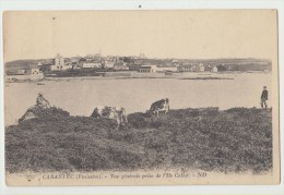 Delcampe - Cpa  29 Finistere Carantec Vue Generale Prise De L Ile Callot - Carantec