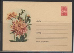 RUSSIA USSR Stamped Stationery Ganzsache 714 1958.06.25 Flora Plants Flowers - 1950-59