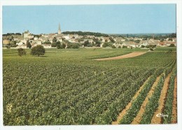 Delcampe - MEURSAULT (21)  Vue Panoramique - Meursault