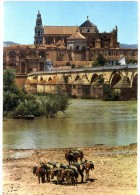 Delcampe - ESPAGNE CORDOBA PONT ROMAIN ET MOSQUEE - Córdoba