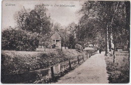 GÜSTROW Partie An Den Wallanlagen Pavillon Belebt 5.1.1919 Gelaufen - Güstrow