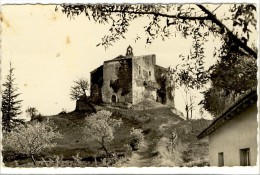 Delcampe - Carte Postale Forcalquier - La Chapelle Saint Pancrace - Forcalquier