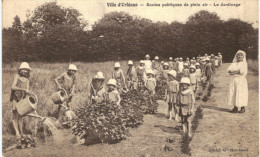 Delcampe - SCOUTISME .... JEUNESSE ... VILLE D ORLEANS ... ECOLE PUBLIQUE DE PLEIN AIR ... JARDINAGE - Pfadfinder-Bewegung