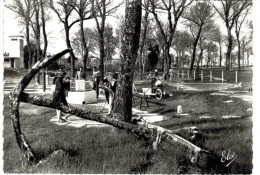Delcampe - GOLF ... ILE D OLERON ... LE CHATEAU - Golf