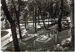 Delcampe - GOLF ... BOURBON L ARCHAMBAULT ... MINIGOLF - Golf