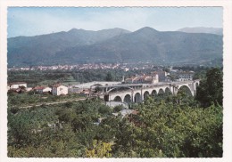 Delcampe - CERET : Vue Générale. Au Premier Plan, Les Trois Ponts. - Ceret