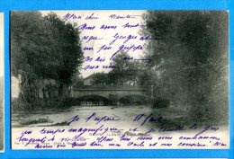 Delcampe - FR5775, Wassy, La Blaise Au Grand-Pont, Précurseur, Circulée 1903 - Wassy