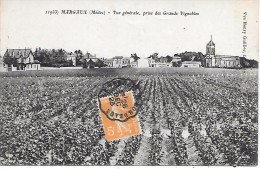 Delcampe - MARGAUX - Vue Générale, Prise Des Grands Vignobles - Margaux