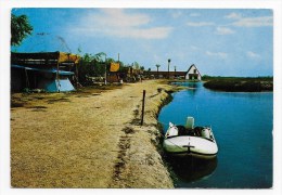 Delcampe - (RECTO / VERSO) VALENCIA - CAMPING EL PALMAR - CPSM VOYAGEE - Valencia