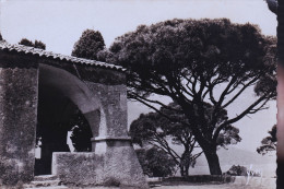Delcampe - SAINT TROPEZ CHAPELLE - Saint-Tropez
